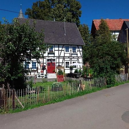Appartement An Der Bicke Dehringhausen Dış mekan fotoğraf