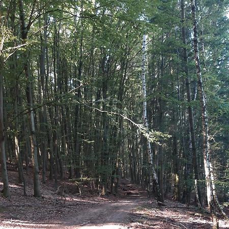 Appartement An Der Bicke Dehringhausen Dış mekan fotoğraf
