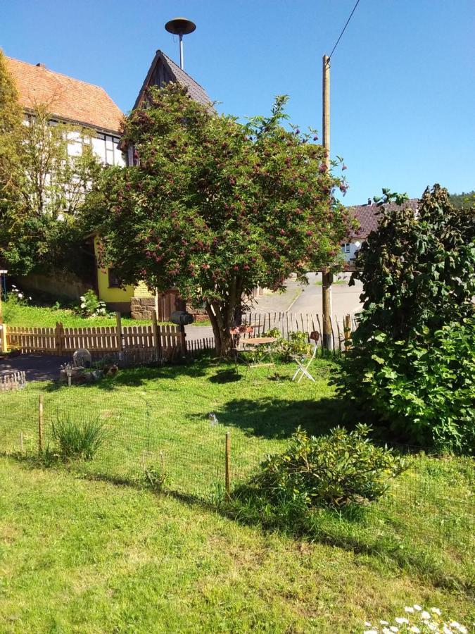 Appartement An Der Bicke Dehringhausen Dış mekan fotoğraf