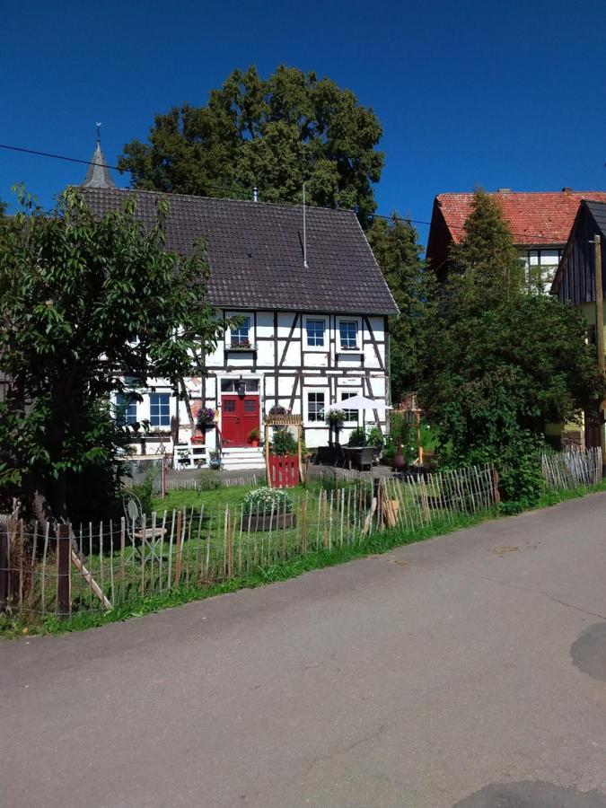 Appartement An Der Bicke Dehringhausen Dış mekan fotoğraf