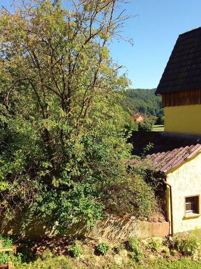Appartement An Der Bicke Dehringhausen Dış mekan fotoğraf