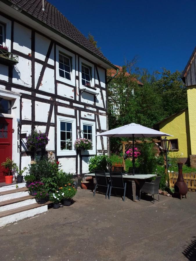 Appartement An Der Bicke Dehringhausen Dış mekan fotoğraf