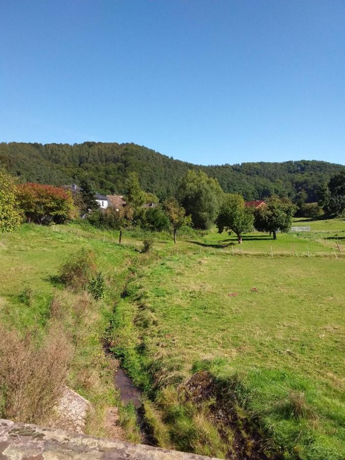 Appartement An Der Bicke Dehringhausen Dış mekan fotoğraf