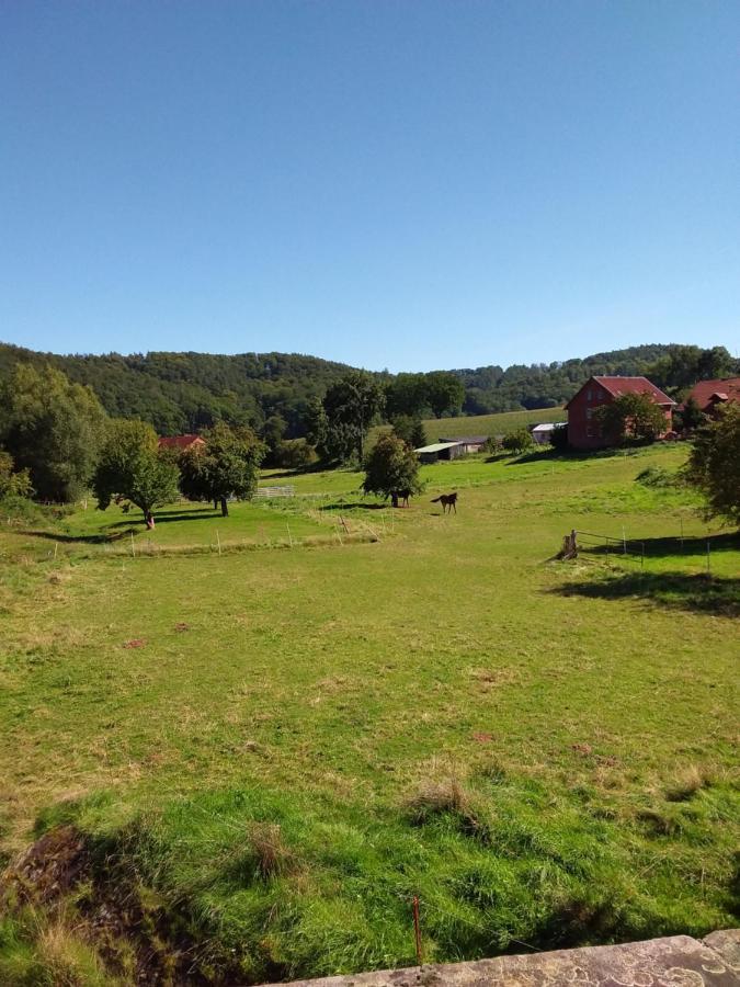 Appartement An Der Bicke Dehringhausen Dış mekan fotoğraf